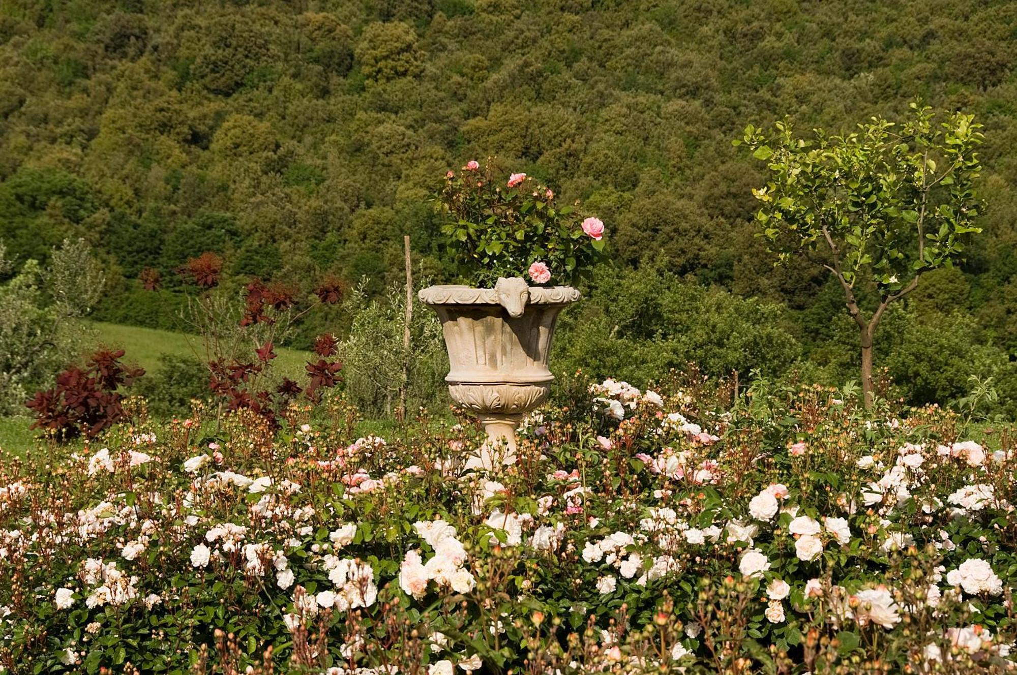 Tenuta Del Gallo Амелиа Экстерьер фото