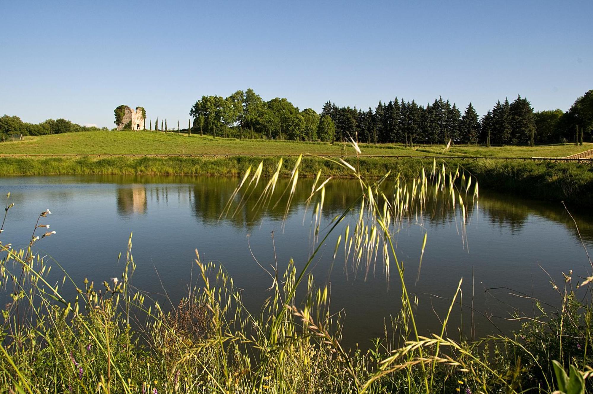 Tenuta Del Gallo Амелиа Экстерьер фото