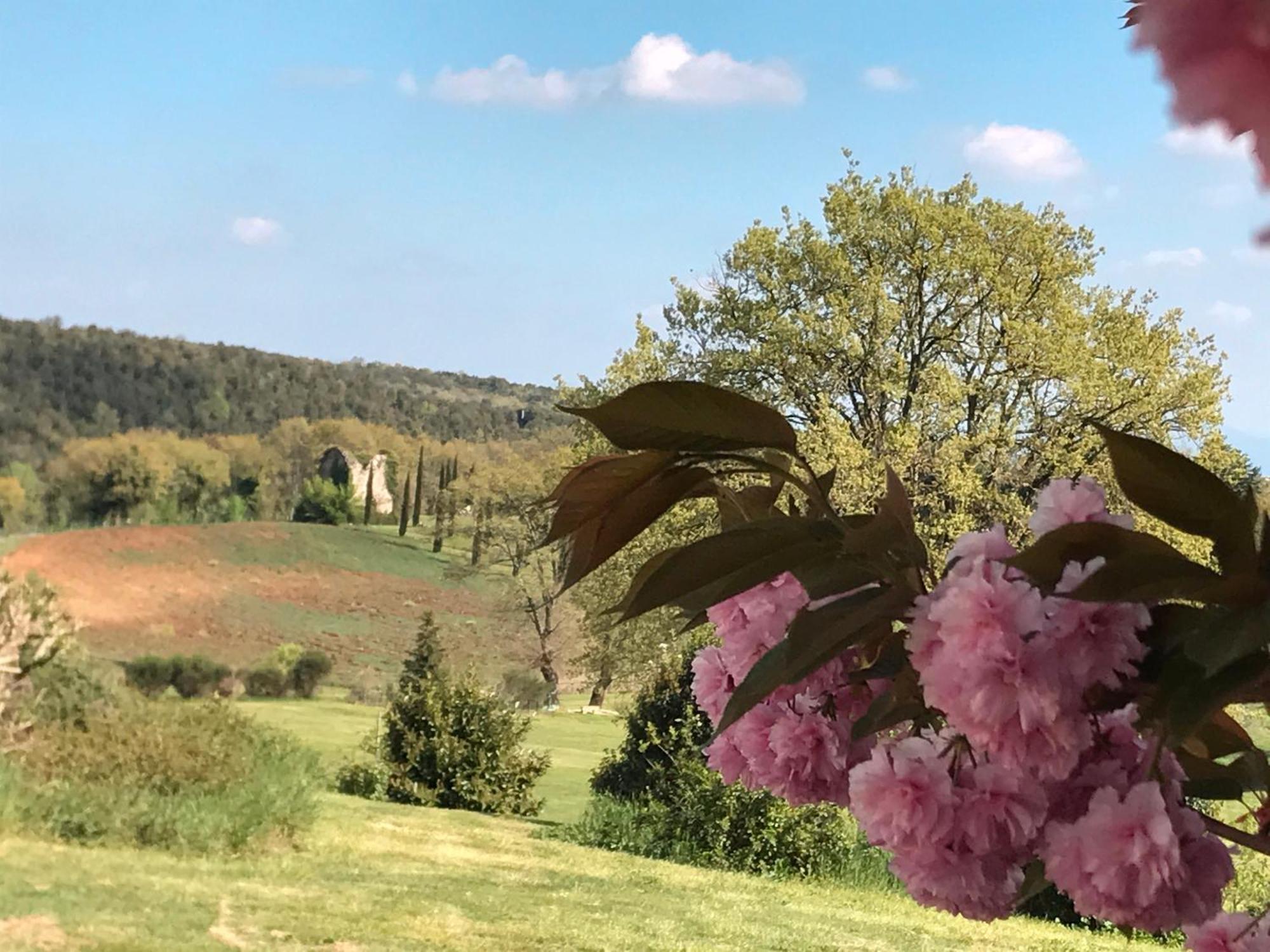 Tenuta Del Gallo Амелиа Экстерьер фото
