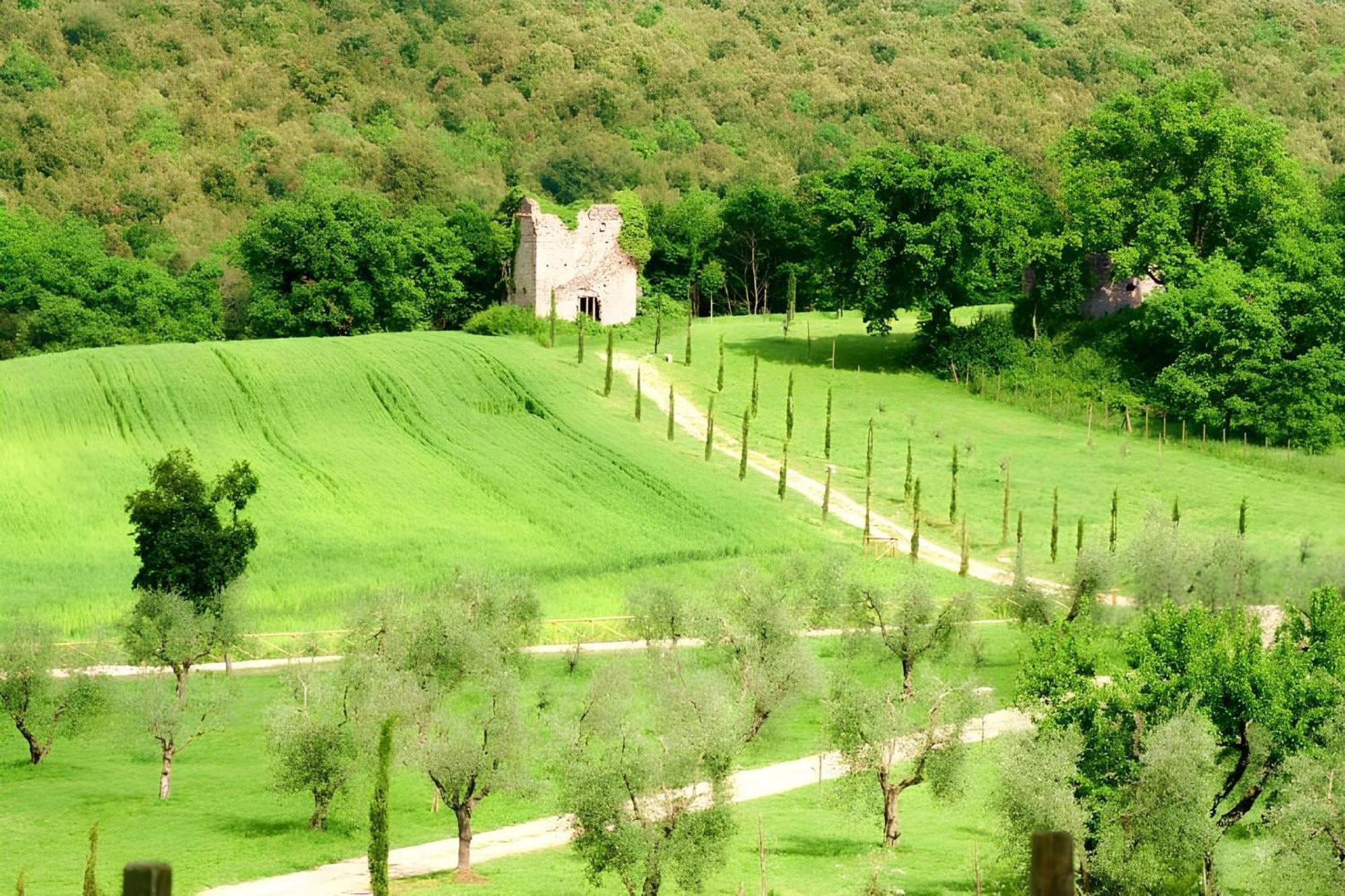 Tenuta Del Gallo Амелиа Экстерьер фото